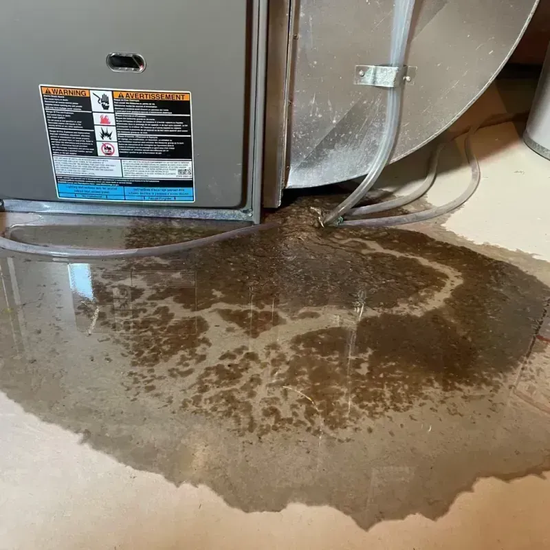 Appliance Leak Cleanup in West Lawn, IL